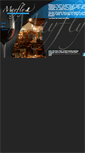 Mobile Screenshot of mayfly.co.za